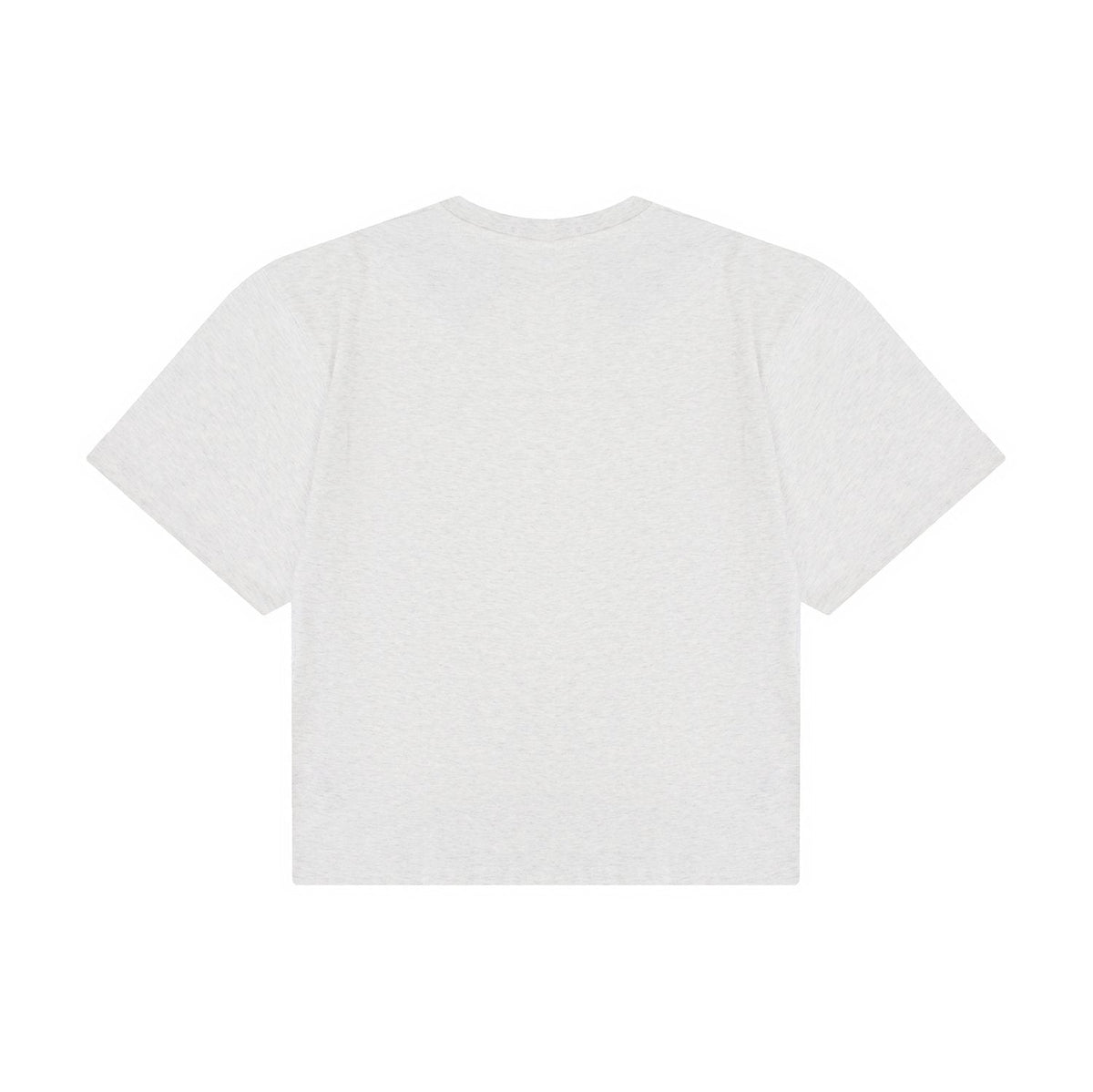 Test2-Ralph Lauren Embroidered Pony Oversized Drop-Shoulder T-Shirt — back